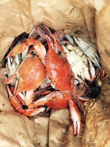 CrabsBag