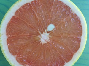 GrapefruitPink