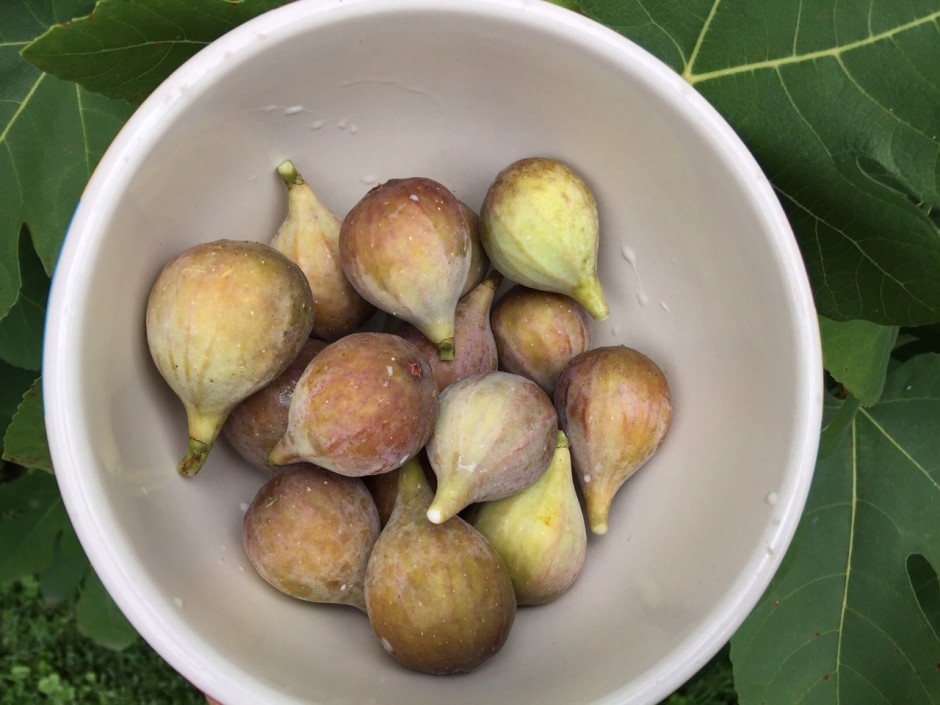 Figging out Fresh fig cake Hungry for Louisiana
